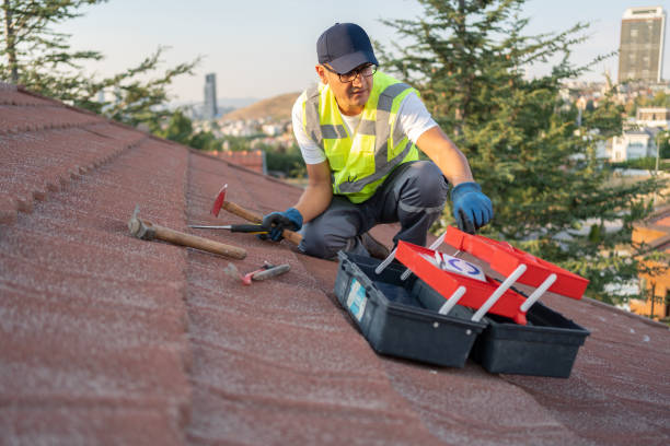 Best Yard Waste Removal  in Hewlett Harbor, NY